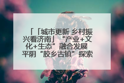 「城市更新 乡村振兴看济南」“产业+文化+生态”融合发展 平阴“胶乡古镇”探索振兴路径成效显著
