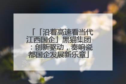 「沿着高速看当代江西国企」黑猫集团：创新驱动，奏响瓷都国企发展新乐章