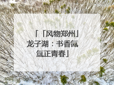 「风物郑州」龙子湖：书香氤氲正青春
