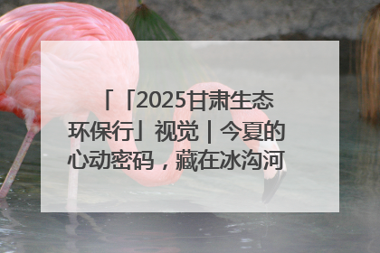 「2025甘肃生态环保行」视觉｜今夏的心动密码，藏在冰沟河的潋滟波光里