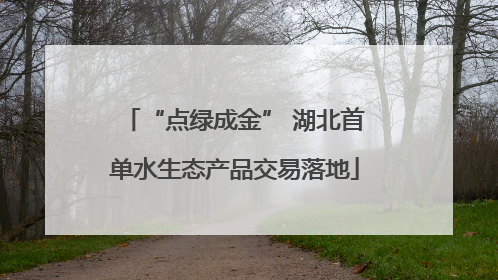 “点绿成金” 湖北首单水生态产品交易落地
