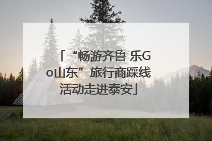 “畅游齐鲁 乐Go山东”旅行商踩线活动走进泰安