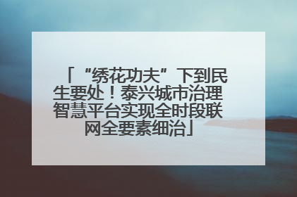 “绣花功夫”下到民生要处！泰兴城市治理智慧平台实现全时段联网全要素细治