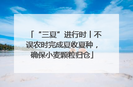 “三夏”进行时丨不误农时完成夏收夏种，确保小麦颗粒归仓