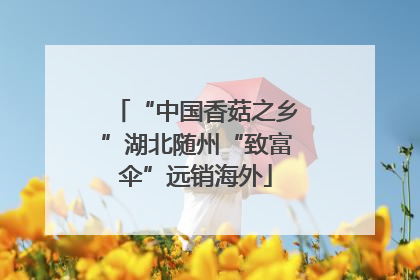 “中国香菇之乡”湖北随州“致富伞”远销海外