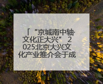 “京城南中轴·文化正大兴” 2025北京大兴文化产业推介会于成都举办