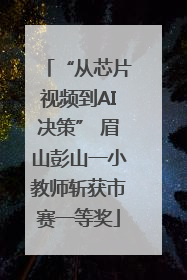 “从芯片视频到AI决策” 眉山彭山一小教师斩获市赛一等奖