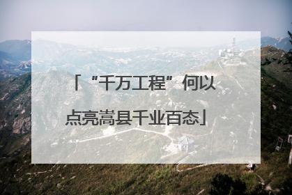 “千万工程”何以点亮嵩县千业百态