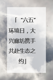 “六五”环境日，大兴廊坊携手共赴生态之约