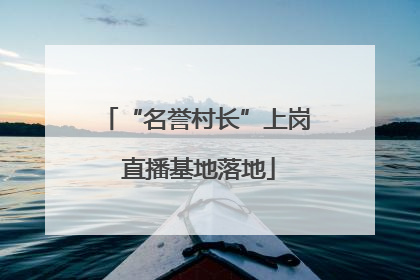 “名誉村长”上岗 直播基地落地