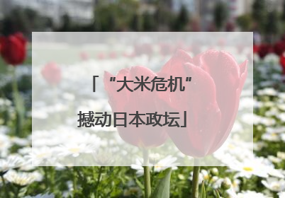 “大米危机”撼动日本政坛
