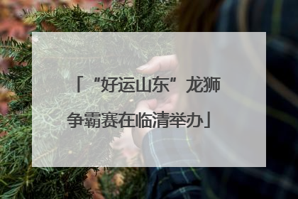 “好运山东”龙狮争霸赛在临清举办