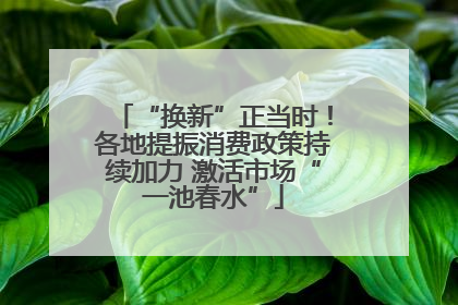 “换新”正当时！各地提振消费政策持续加力 激活市场“一池春水”