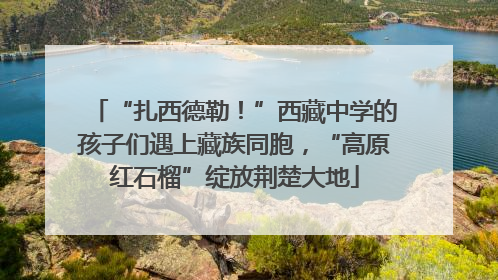 “扎西德勒！”西藏中学的孩子们遇上藏族同胞，“高原红石榴”绽放荆楚大地