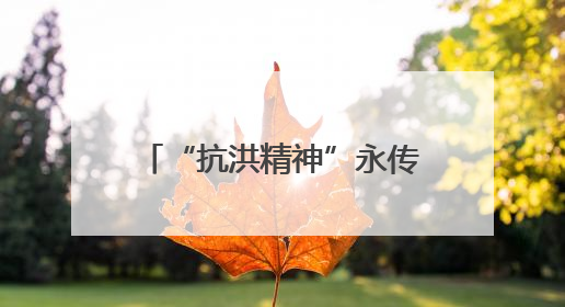 “抗洪精神”永传承！救人民警王明华和“抱树女孩”江珊还原历史瞬间