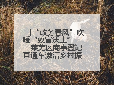“政务春风”吹暖“致富沃土”——莱芜区商事登记直通车激活乡村振兴“一池春水”