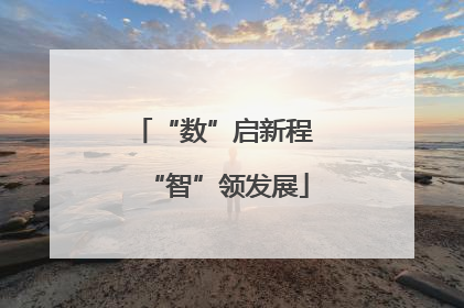 “数”启新程 “智”领发展