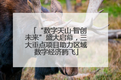 “数字天山·智创未来”盛大启幕，三大重点项目助力区域数字经济腾飞