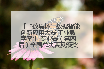 “数境杯”数据智能创新应用大赛·工业数字孪生 专业赛（第四届）全国总决赛及颁奖典礼成功举办