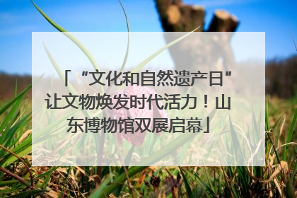 “文化和自然遗产日”让文物焕发时代活力！山东博物馆双展启幕