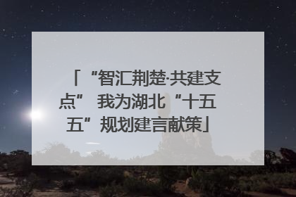 “智汇荆楚·共建支点” 我为湖北“十五五”规划建言献策