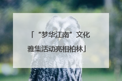 “梦华江南”文化雅集活动亮相柏林