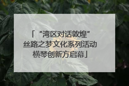 “湾区对话敦煌” 丝路之梦文化系列活动横琴创新方启幕