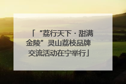 “荔行天下・甜满金陵”灵山荔枝品牌交流活动在宁举行