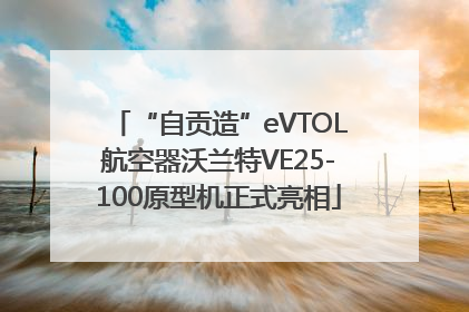“自贡造”eVTOL航空器沃兰特VE25-100原型机正式亮相