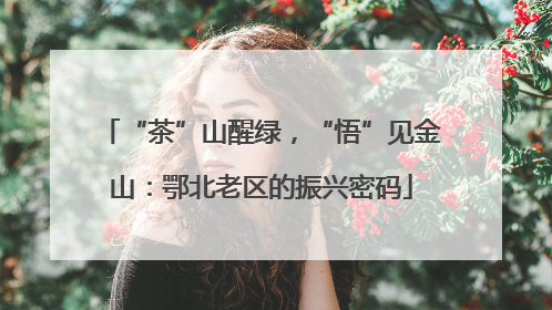 “茶”山醒绿，“悟”见金山：鄂北老区的振兴密码