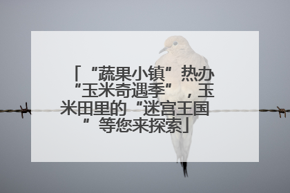“蔬果小镇”热办“玉米奇遇季”，玉米田里的“迷宫王国”等您来探索
