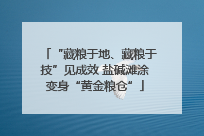 “藏粮于地、藏粮于技”见成效 盐碱滩涂变身“黄金粮仓”