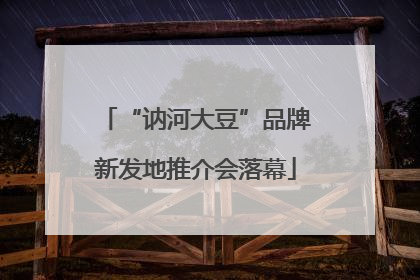 “讷河大豆”品牌新发地推介会落幕