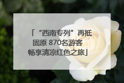 “西南专列”再抵固原 870名游客畅享清凉红色之旅