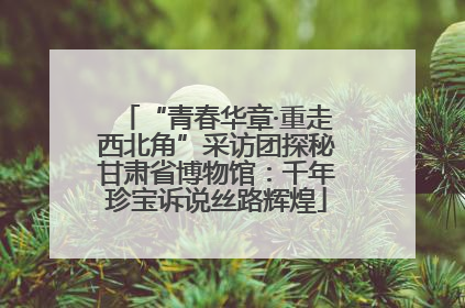 “青春华章·重走西北角”采访团探秘甘肃省博物馆：千年珍宝诉说丝路辉煌