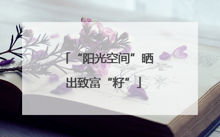 “阳光空间”晒出致富“籽”