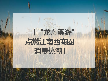 “龙舟溪游”点燃江南西商圈消费热潮