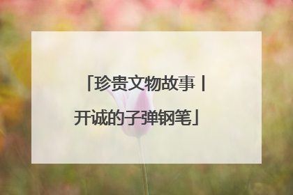 珍贵文物故事丨开诚的子弹钢笔