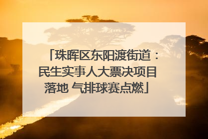 珠晖区东阳渡街道：民生实事人大票决项目落地 气排球赛点燃