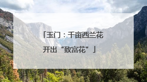 玉门：千亩西兰花开出“致富花”