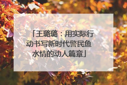 王璐璐：用实际行动书写新时代警民鱼水情的动人篇章
