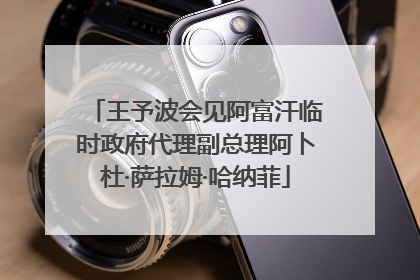王予波会见阿富汗临时政府代理副总理阿卜杜·萨拉姆·哈纳菲