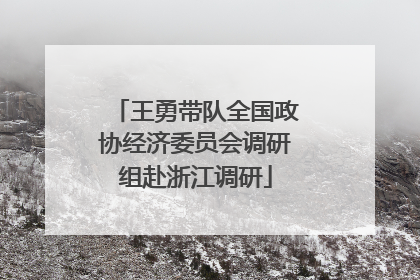 王勇带队全国政协经济委员会调研组赴浙江调研