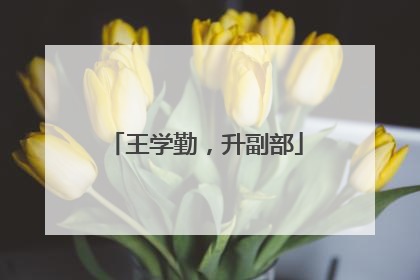 王学勤，升副部