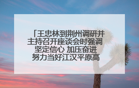 王忠林到荆州调研并主持召开座谈会时强调 坚定信心 加压奋进 努力当好江汉平原高质量发展排头兵
