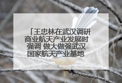 王忠林在武汉调研商业航天产业发展时强调 做大做强武汉国家航天产业基地 打造具有全国影响力的“中国星谷”