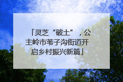 灵芝“破土”，公主岭市苇子沟街道开启乡村振兴新篇