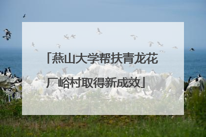燕山大学帮扶青龙花厂峪村取得新成效