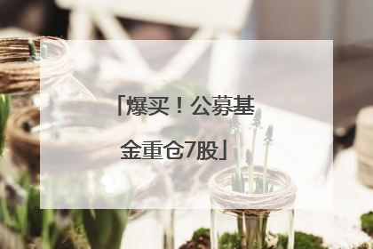 爆买！公募基金重仓7股