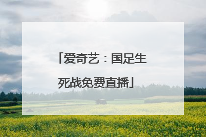 爱奇艺：国足生死战免费直播